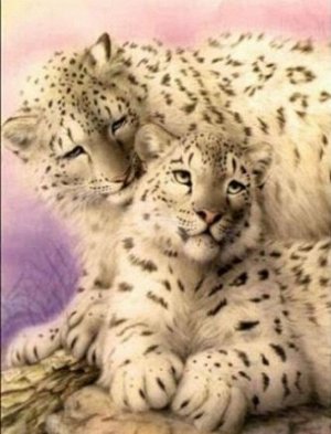 "Два леопарда"