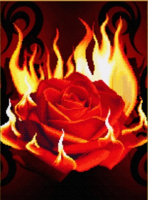 "Огненная роза"