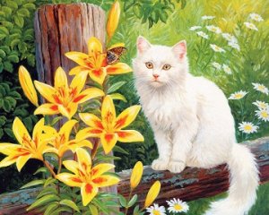 "Белый котик"