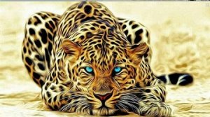 "Леопард" Алмазная мозаика

В комплекте:
- канва с нанесенной цветной схемой и клеевым покрытием
- квадратные стразы
- пинцет
- чашечка для насыпания страз  Размер холста: 40*60 см.  Тип выкладки: Пол