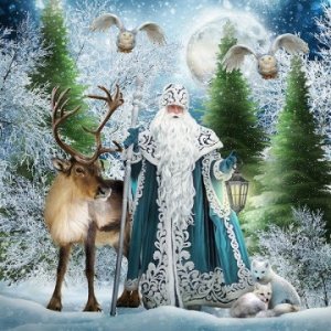 "Дед Мороз и лесные звери"