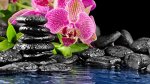 Орхидеи, Камни, Вода