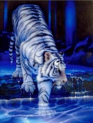 "Бенгальский тигр на водопое"