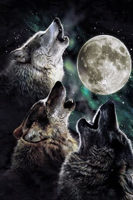 "Волки при луне"