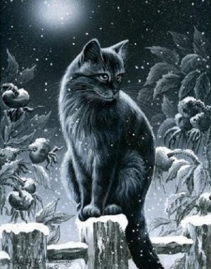 "Зимний кот"