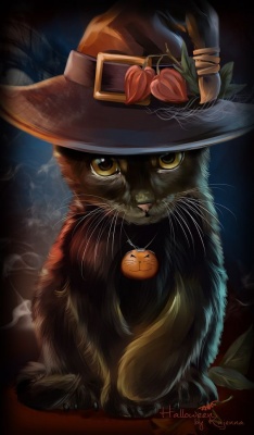 "Черный кот в шляпе"