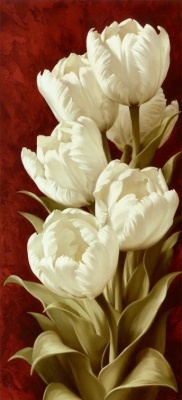 "Белые махровые тюльпаны"