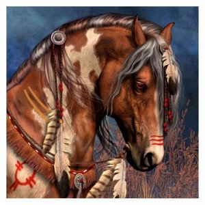 "Лошадь индейца"