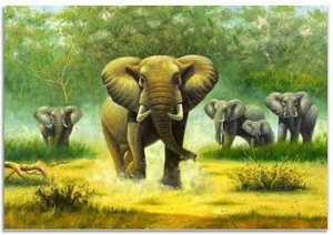 "Африканские слоны"