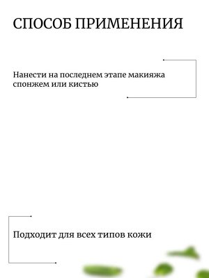 Innisfree Матирующая минеральная рассыпчатая пудра No-Sebum Mineral Powder