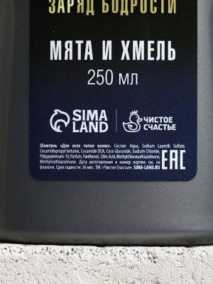 Подарочный набор «Подарок лучшему мужчине», гель для душа 250 мл, аромат бодрящий лайм, шампунь 250 мл, аромат взрыв прохлады