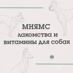 Мнямс - лакомства и витамины для собак