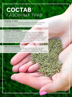 Семена Газонная травосмесь «Сибиряк», 1 кг