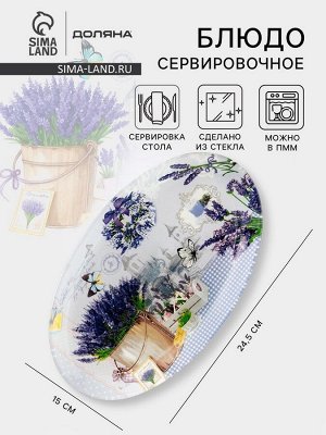 Блюдо стеклянное сервировочное овальное Доляна «Лаванда», 24.5x15 см