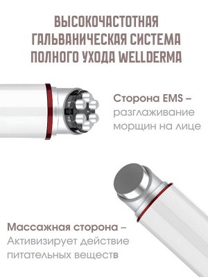 WellDerma Гальванический комплексный уход Total Care System Ems Galvanic, 1 шт