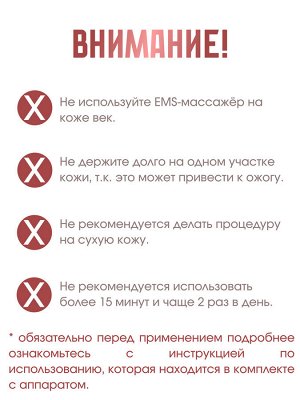 WellDerma Гальванический комплексный уход Total Care System Ems Galvanic, 1 шт