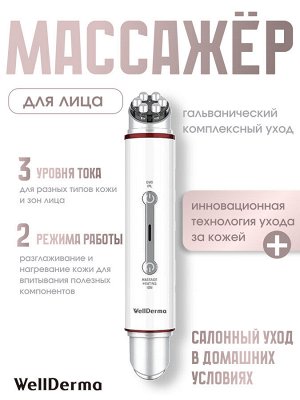 WellDerma Гальванический комплексный уход Total Care System Ems Galvanic, 1 шт