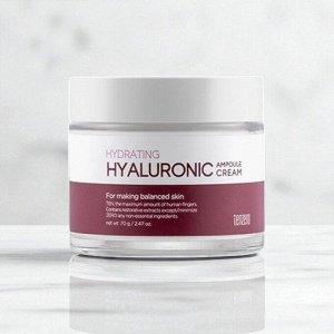 Ампульный крем для лица с гиалуроновой кислотой - TENZERO HYDRATING HYALURONIC AMPOULE CREAM 2X