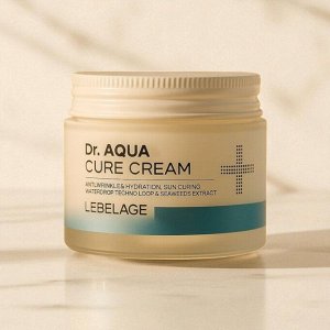 Антивозрастной увлажняющий аква-крем - LEBELAGE Dr. AQUA CURE CREAM
