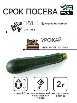 Семена Кабачок цукини "Чёрный красавец", 2 г