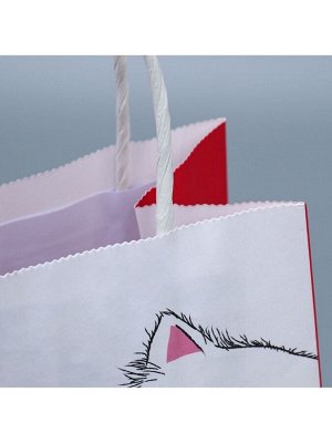Пакет подарочный крафтовый, упаковка, «Мягкая моя», 12x21x9 см