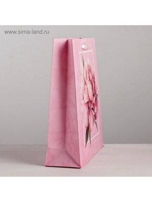 Пакет подарочный ламинированный, упаковка, «Пион», ML 23 х 27 х 11.5 см