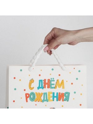Пакет ламинированный «Динозавр: С днём рождения», M 26 х 30 х 9 см