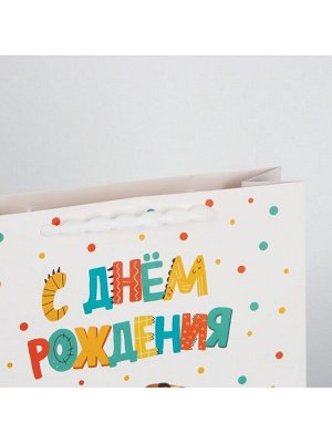 Пакет ламинированный «Динозавр: С днём рождения», M 26 х 30 х 9 см