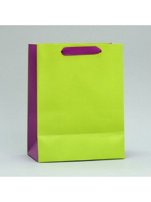 Пакет подарочный двухцветный, упаковка, «Салатовый-сиреневый», MS 18 х 23 х 10 см