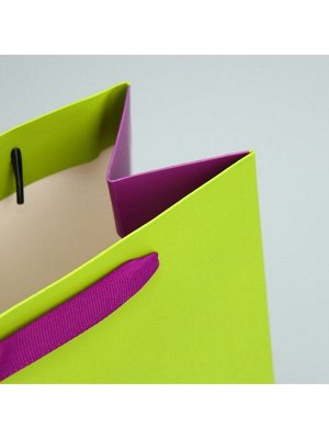 Пакет подарочный двухцветный, упаковка, «Салатовый-сиреневый», MS 18 х 23 х 10 см