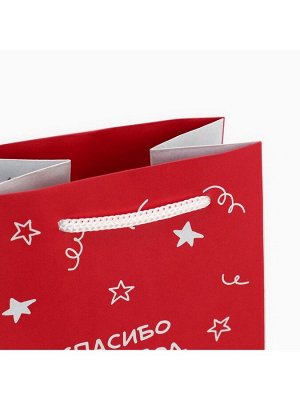 Пакет подарочный под бутылку, упаковка, «Гусь», 36 х 13 х 10 см