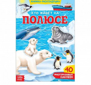 Книжка-раскладушка с многоразовыми наклейками.