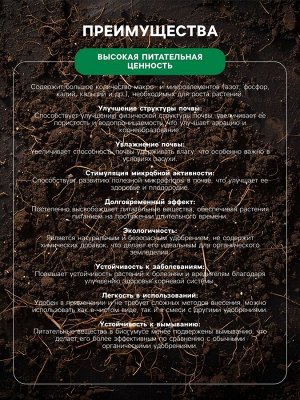 ФХ Ивановское Органическое удобрение Биогумус Универсальное, концентрат, Ивановское, канистра, 3 л
