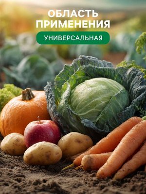 ФХ Ивановское Органическое удобрение Биогумус Универсальное, концентрат, Ивановское, канистра, 3 л
