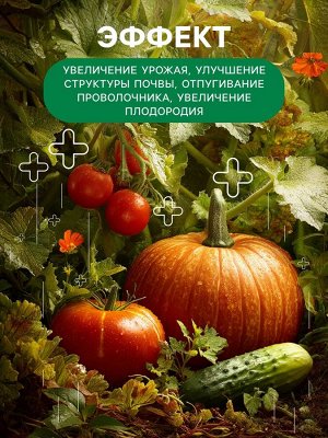ФХ Ивановское Органическое удобрение Биогумус Универсальное, концентрат, Ивановское, канистра, 3 л