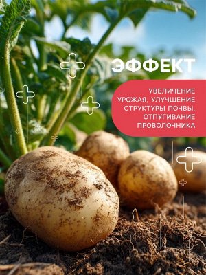 Удобрение органоминеральное картофельное, 5 кг