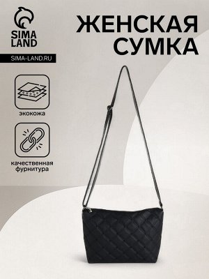 Сумка женская на молнии, цвет чёрный