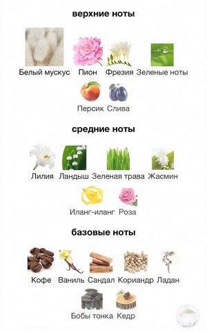 Женские духи Noa Cacharel 100 мл. Оригинал