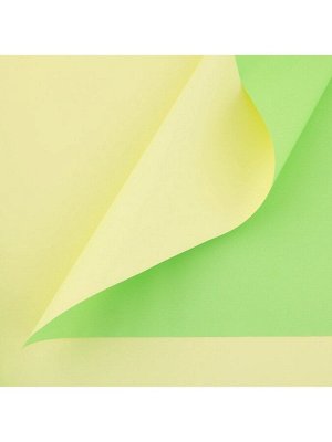 Плёнка для цветов упаковочная пудровая двухсторонняя «Салатовый+жёлтый», 50 мкм, 0.5 х 10 м