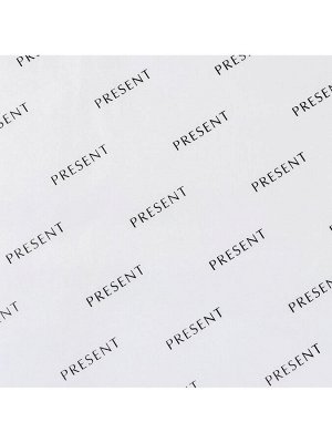 Бумага упаковочная тишью «Present», белая, 50 х 70 см