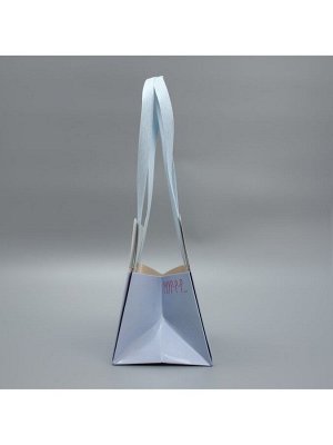 Переноски для цветов «Киса», 14x10x9 см
