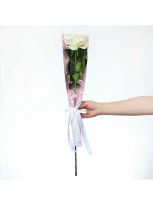 Пакет для цветов с вкладышем «For you»