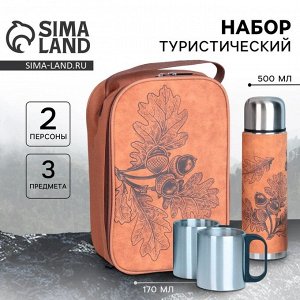 Подарочный набор «Листья»: термос 500 мл, кружка 2 шт х 170 мл