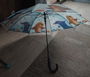 Отдам бесплатно зонтик