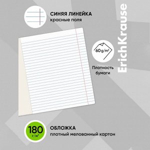 Тетрадь 12 листов в линейку ErichKrause «К доске!», обложка мелованный картон, блок офсет, белизна 100%, с принтом