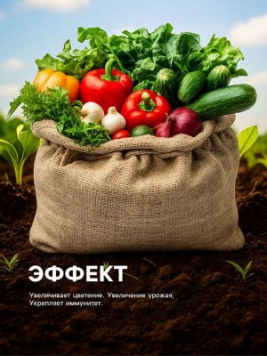 Органическое удобрение «Конский навоз» Рецепты дедушки Никиты, экстракт, канистра 3 л