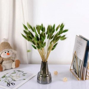 Натуральные сухие цветы зайцехвостника 60шт