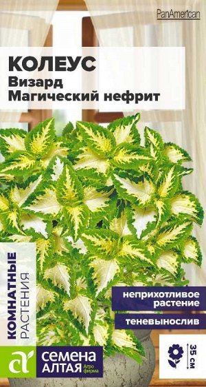 Цветы Колеус Визард Магический Нефрит/Сем Алт/цп 5 шт.