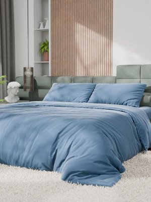 Постельное бельё Этель 2сп Tencel 180*210см, 220*245см, 50*70см-2шт, цвет серо-голубой