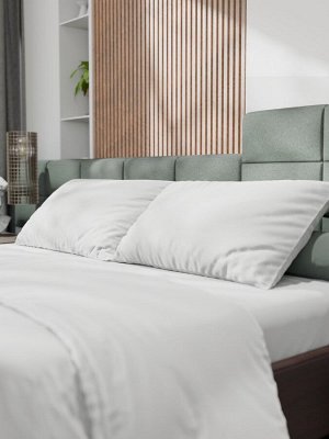 Постельное бельё Этель Евро Tencel 200*220см, 230*245см, 50*70см-2шт, цвет белый